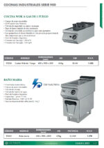 https://donbar.es/wp-content/uploads/2026/05/Cocina-Wok-Gas-1-Fuego-Sobremesa-Gama-900-400x900x300h-mm-9320E-EUTRON-scaled.jpg